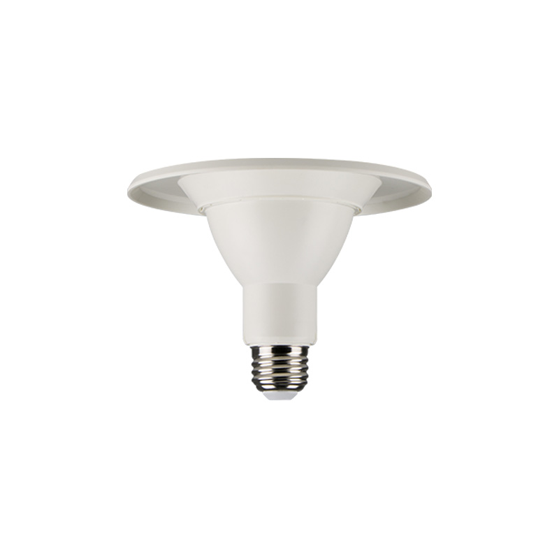 Grudge slap chilly Adjustable LED Downlight Trim Bulb 4", 8.5 Watt - EarthTronics